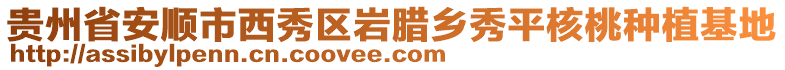 貴州省安順市西秀區(qū)巖臘鄉(xiāng)秀平核桃種植基地