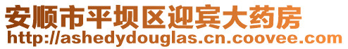 安順市平壩區(qū)迎賓大藥房