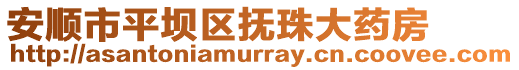 安順市平壩區(qū)撫珠大藥房