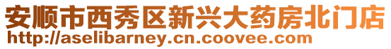 安順市西秀區(qū)新興大藥房北門(mén)店