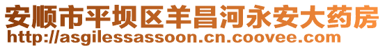安順市平壩區(qū)羊昌河永安大藥房