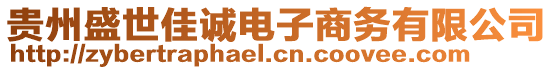 貴州盛世佳誠(chéng)電子商務(wù)有限公司