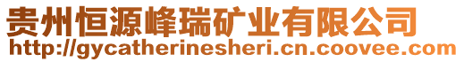 貴州恒源峰瑞礦業(yè)有限公司