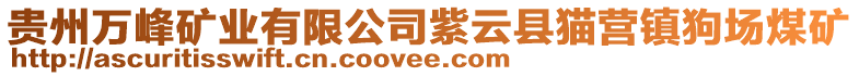 貴州萬(wàn)峰礦業(yè)有限公司紫云縣貓營(yíng)鎮(zhèn)狗場(chǎng)煤礦