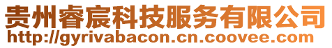 貴州睿宸科技服務有限公司