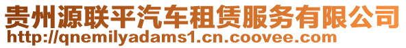 貴州源聯平汽車租賃服務有限公司