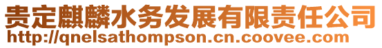 貴定麒麟水務(wù)發(fā)展有限責(zé)任公司