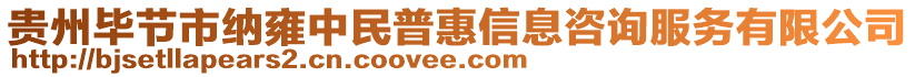 貴州畢節(jié)市納雍中民普惠信息咨詢服務(wù)有限公司