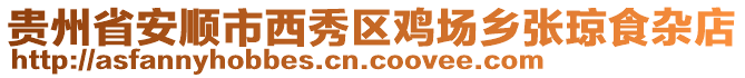 貴州省安順市西秀區(qū)雞場鄉(xiāng)張瓊食雜店