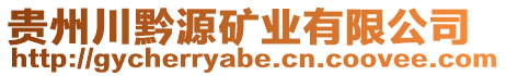 貴州川黔源礦業(yè)有限公司