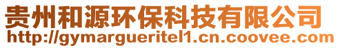 贵州和源环保科技有限公司