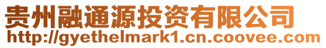 貴州融通源投資有限公司