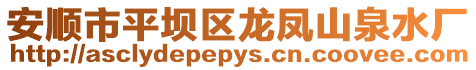 安順市平壩區龍鳳山泉水廠