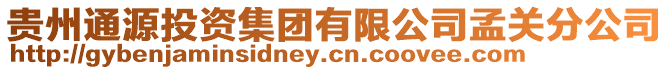 貴州通源投資集團(tuán)有限公司孟關(guān)分公司