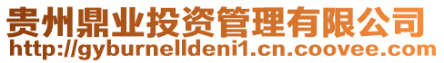 貴州鼎業投資管理有限公司