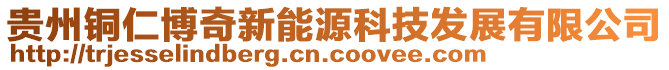貴州銅仁博奇新能源科技發(fā)展有限公司