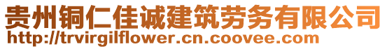 貴州銅仁佳誠建筑勞務(wù)有限公司