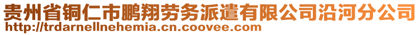 貴州省銅仁市鵬翔勞務派遣有限公司沿河分公司