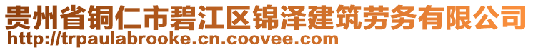 貴州省銅仁市碧江區(qū)錦澤建筑勞務(wù)有限公司