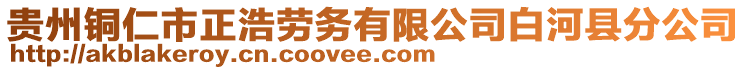 貴州銅仁市正浩勞務(wù)有限公司白河縣分公司