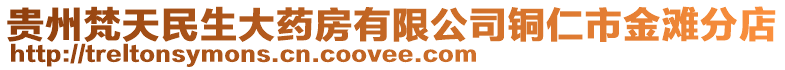貴州梵天民生大藥房有限公司銅仁市金灘分店