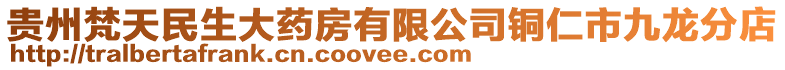 貴州梵天民生大藥房有限公司銅仁市九龍分店