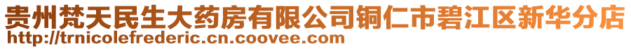 貴州梵天民生大藥房有限公司銅仁市碧江區新華分店