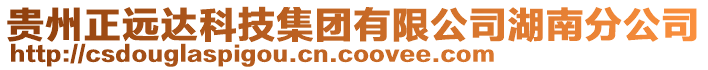 貴州正遠(yuǎn)達(dá)科技集團(tuán)有限公司湖南分公司