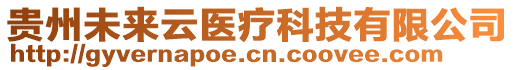 貴州未來云醫(yī)療科技有限公司