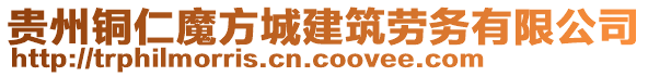 貴州銅仁魔方城建筑勞務有限公司