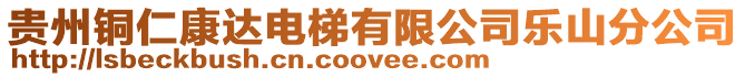 貴州銅仁康達電梯有限公司樂山分公司