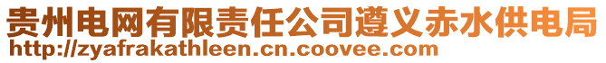 貴州電網(wǎng)有限責任公司遵義赤水供電局