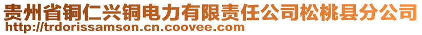 貴州省銅仁興銅電力有限責(zé)任公司松桃縣分公司