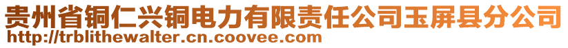 貴州省銅仁興銅電力有限責(zé)任公司玉屏縣分公司