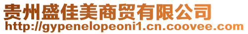 贵州盛佳美商贸有限公司