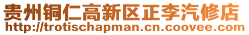 貴州銅仁高新區正李汽修店