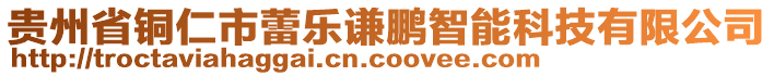 貴州省銅仁市蕾樂謙鵬智能科技有限公司