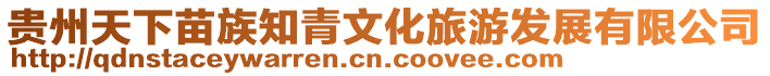 貴州天下苗族知青文化旅游發展有限公司