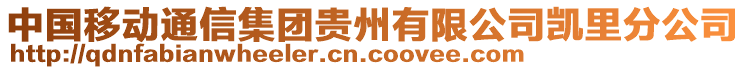 中國移動(dòng)通信集團(tuán)貴州有限公司凱里分公司