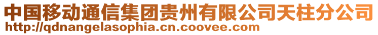 中國移動通信集團貴州有限公司天柱分公司