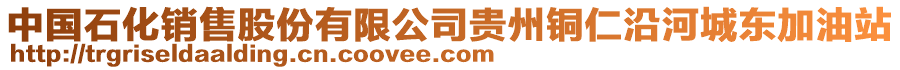 中國(guó)石化銷售股份有限公司貴州銅仁沿河城東加油站