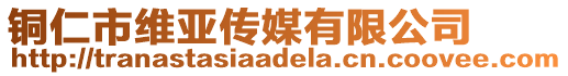 銅仁市維亞傳媒有限公司