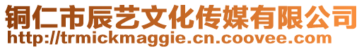 銅仁市辰藝文化傳媒有限公司