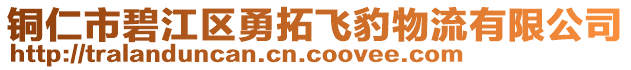銅仁市碧江區(qū)勇拓飛豹物流有限公司