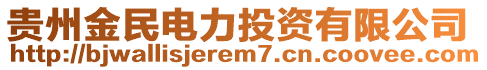 貴州金民電力投資有限公司