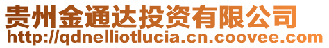 貴州金通達投資有限公司