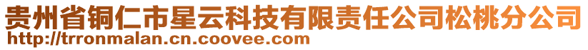 貴州省銅仁市星云科技有限責任公司松桃分公司