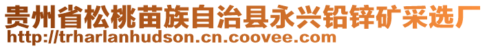 貴州省松桃苗族自治縣永興鉛鋅礦采選廠