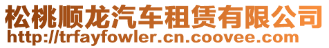 松桃順龍汽車租賃有限公司