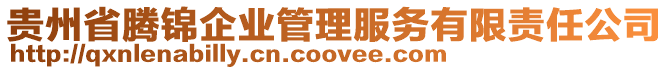 貴州省騰錦企業(yè)管理服務有限責任公司